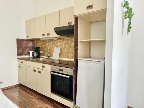 Central Long-Term Apartment near First District