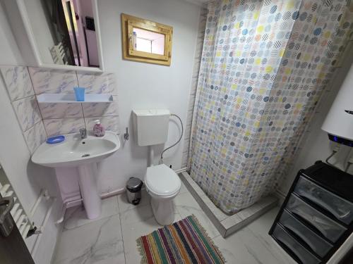 a bathroom with a sink and a toilet and a shower at La Umbra Muntilor Traditional House in Ocoliş
