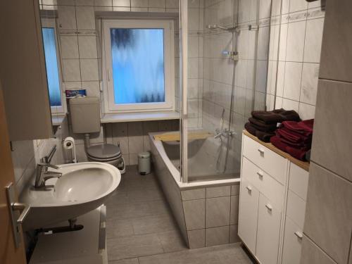 a bathroom with a sink and a shower and a toilet at NEU! Ferienwohnung Gondwana in Schiffweiler