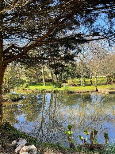 a pond in a park with a tree over it at Chycara House in Truro