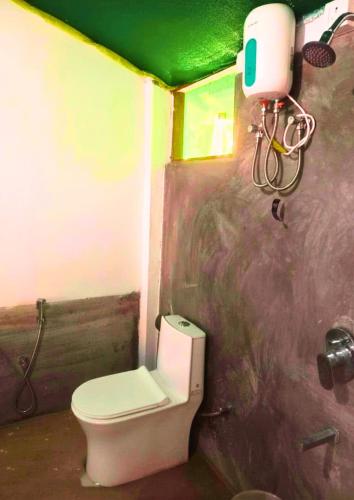 a small bathroom with a toilet and a green ceiling at The Blue Planet Long Island in Middle Andaman