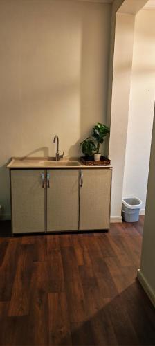 a kitchen with a sink and a potted plant at شقق الفيصل in Al Khobar