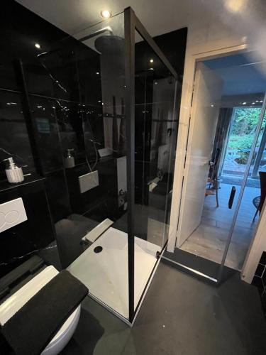 a bathroom with a glass shower and a toilet at Villa 't Haasduin in Wijk aan Zee