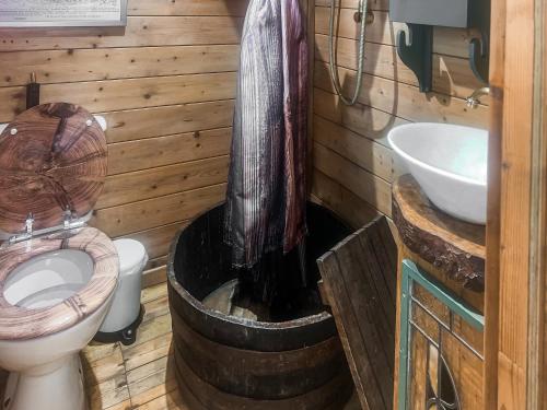 a wooden bathroom with a toilet and a sink at The Signal Box in Girvan