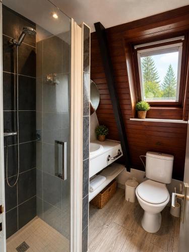 a bathroom with a toilet and a shower and a sink at Chalet in Le Tholy