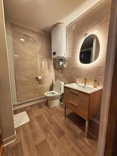 a bathroom with a toilet and a sink at Appartement Grenouillit, hyper centre du Puy in Le Puy-en-Velay