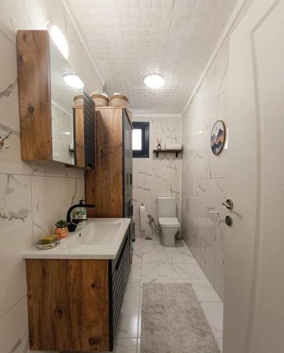 a bathroom with a sink and a toilet at Seyri Alem suit villa Bungalow in Ardeşen