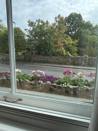 a window with a bunch of flowers in a window sill at Canterbury Guest House in Sidmouth