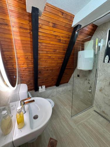 a bathroom with a sink and a glass shower at Vila Mirra in Teslić