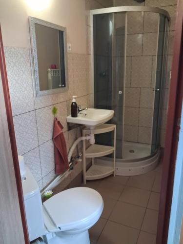 a bathroom with a toilet and a shower and a sink at Przystanek Kraszczady in Krasnystaw