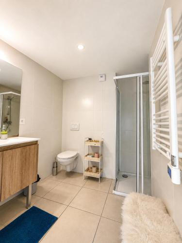 a bathroom with a shower and a toilet and a sink at 2Bedrooms, Thèoule-sur-mer in Théoule-sur-Mer