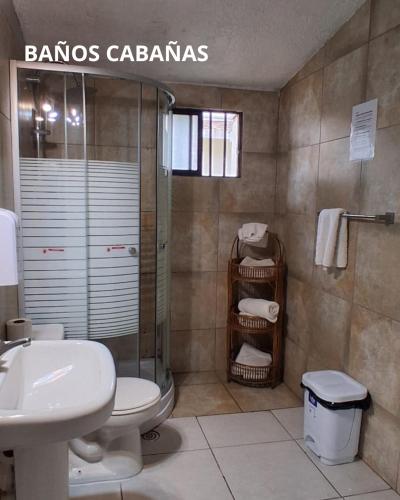 a bathroom with a toilet and a shower and a sink at Hotel Palmas de La Serena in La Serena