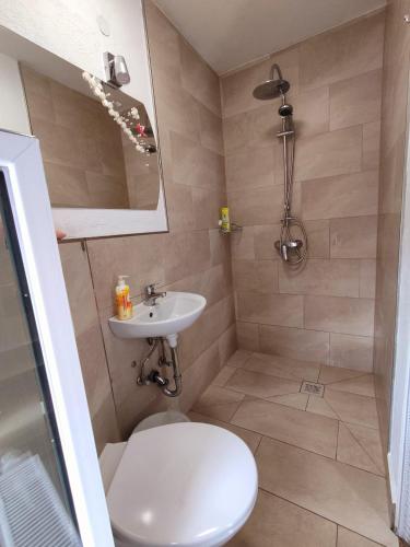 a bathroom with a toilet and a sink at Lemone in Zweibrücken