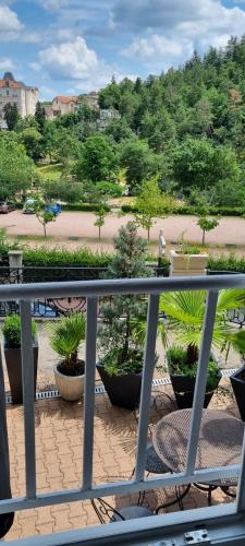 a balcony with a view of a park with potted plants at Appt vue parc, avec terrasse in Châtel-Guyon