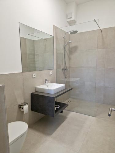 a bathroom with a sink and a shower and a toilet at ARGENTA Living 42 in Künzell