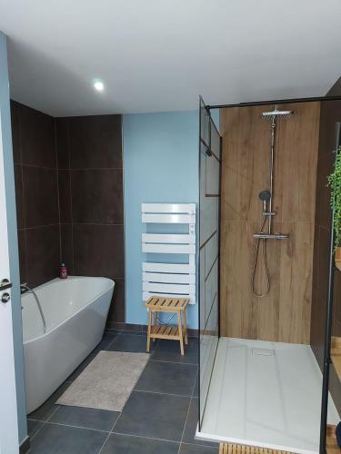 a bathroom with a bath tub and a shower at La Maison d'André in Digny