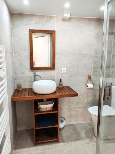 a bathroom with a sink and a mirror and a toilet at La Canette de Phil - Chambre d'hôtes, Indépendante - Vue sur piscine in Samatan
