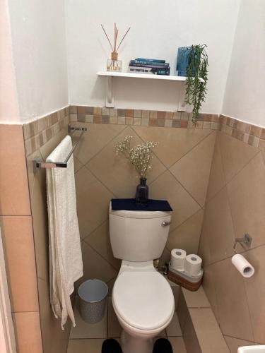 a bathroom with a toilet with a plant on it at Cottage in Ballito in Ballito