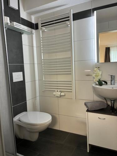 a bathroom with a toilet and a sink at Hotel Pension Vineta Rügen in Baabe