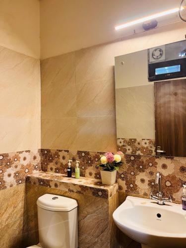 a bathroom with a toilet and a sink and a mirror at Hogwood in Agra