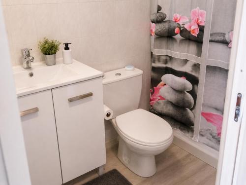 a bathroom with a toilet and a sink and a shower at L'oiseau bleu in Salin-de-Giraud