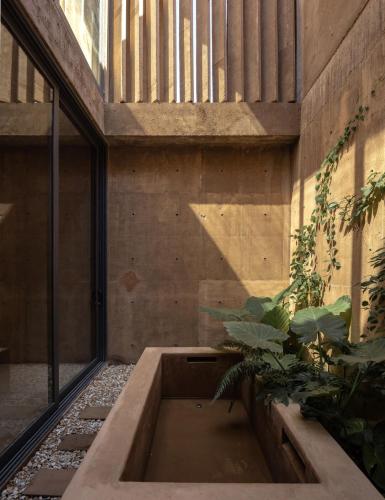 a concrete room with a large window and a plant at Paradero Todos Santos - Exclusive experiences included in Todos Santos