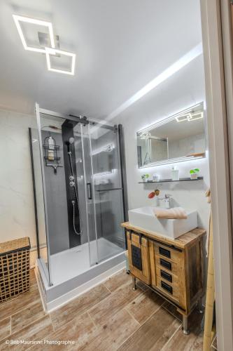 a bathroom with a shower and a sink at L'Escapade Pannessac troisième étage in Le Puy-en-Velay