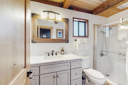 a bathroom with a sink and a toilet and a shower at The Music Chalet in Ronald