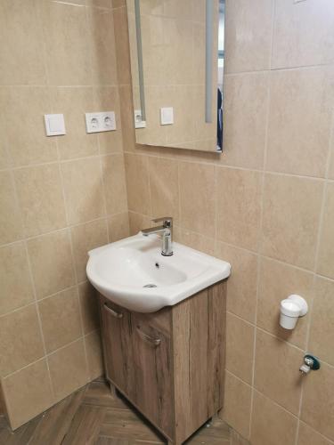 a bathroom with a sink and a mirror at Birs Vendégház Tiszafüred in Tiszafüred