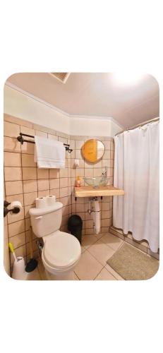 a bathroom with a toilet and a shower curtain at Cabaña kobata in Villa Mills