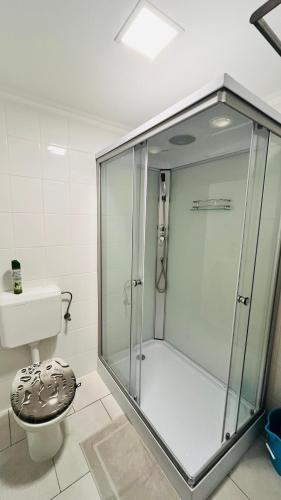 a glass shower in a bathroom with a toilet at Lebegő Falu Vendégház in Oroszlány