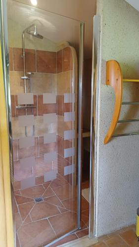 a shower with a glass door in a bathroom at gite art et nature in Thorigny