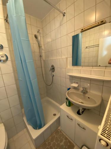 a bathroom with a shower and a sink at Am Wald, Am Berg in Unterreichenbach