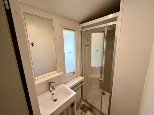 a bathroom with a sink and a shower at Camping le Martin Pêcheur in Magné