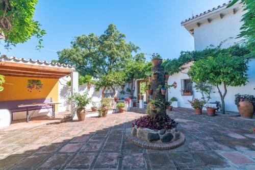 Finca Siete Colchones a Rustic Andalusian Villa