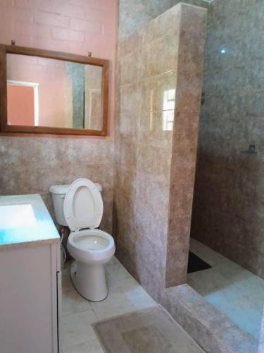 a bathroom with a toilet and a sink and a shower at Riverside Lodge Bansang in Bansang
