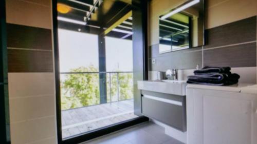 a bathroom with a sink and a large mirror at Studio Avec Terrace DOCKS in Strasbourg