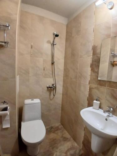 a bathroom with a toilet and a sink at Zenith Guest House in Sozopol