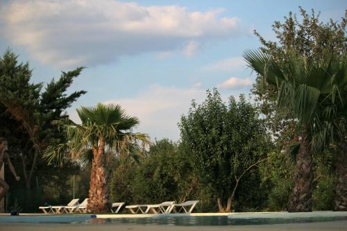 Φωτογραφία από το άλμπουμ του Camping Le Dolium σε Laudun
