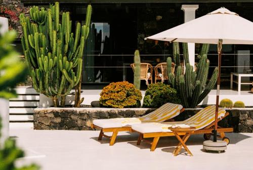 two chairs and an umbrella in a courtyard with cactus at UNIQUE Homes Lajares - adults only in Lajares