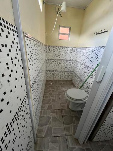 a bathroom with a toilet and a shower at Pousada Rural João De Barro 1 in Capela Ivapurunduva