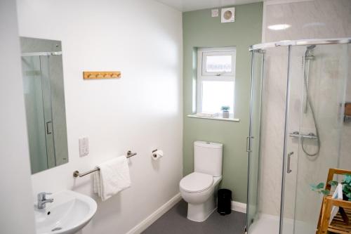 a bathroom with a toilet and a sink and a shower at Railway Sleeper Hostel in Castlerock