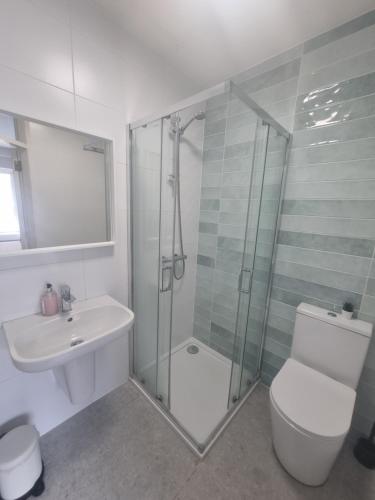 a bathroom with a shower and a toilet and a sink at Rougey Lodge Hostel in Bundoran