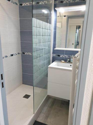 a bathroom with a shower and a sink and a mirror at Charmant Appartement - Bordaberry in Urrugne
