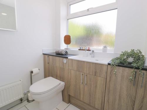 a bathroom with a toilet and a sink and a window at Trem Y Foel in Penrhyndeudreath