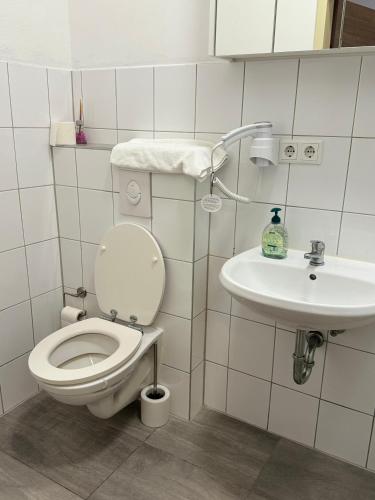 a bathroom with a toilet and a sink at Shirdel Pension in Gaimersheim