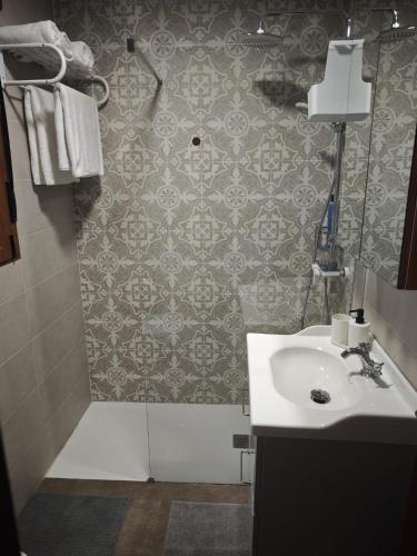 a bathroom with a sink and a shower at Mansilla Petit Inn in Mansilla de las Mulas