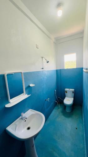 a blue and white bathroom with a sink and a toilet at The victoria hill Cottage in Digana