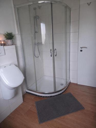 a bathroom with a shower and a toilet and a rug at Ebenerdiges Ferienhaus für Rückzug und Auszeit mit Sauna, Weitblick, Terrassen, Privatsphäre auf 20000 qm NaturZentral in Frankenberg