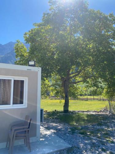 a tree in a field next to a white trailer at David's House in Ndërlysaj
